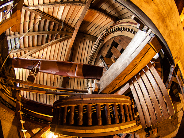 Windmill on your Mind